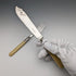 British antique resin handle silver plate fish cutlery 6x2 & server set in wooden box